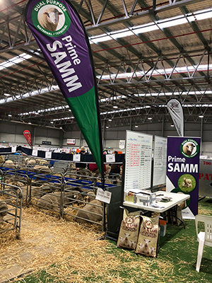 Prime SAMM display at Bendigo 2019