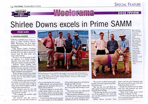 Shirlee Downs excels in Prime SAMM - Wagin Woolorama 2018