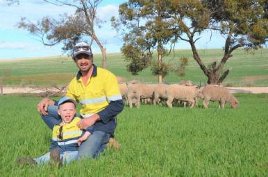 Resilient Prime SAMM ewes perform in tough conditions